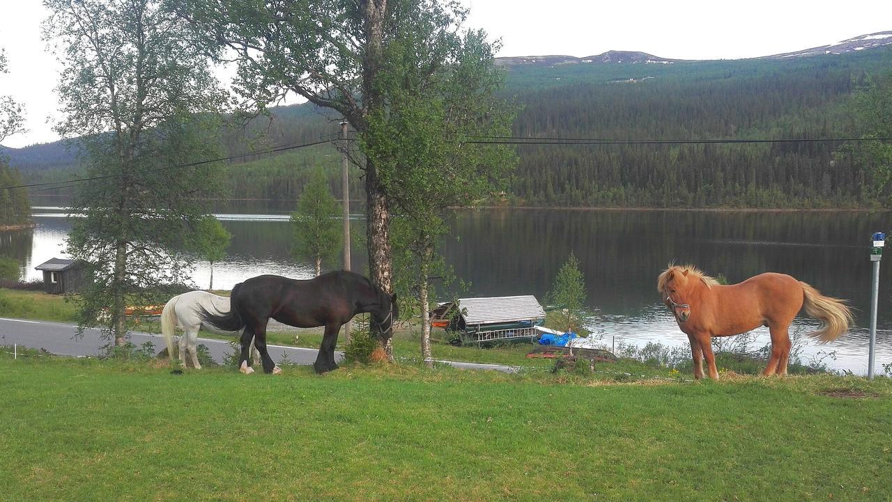 Strand Fjellstue Hotel Espedalen Kültér fotó